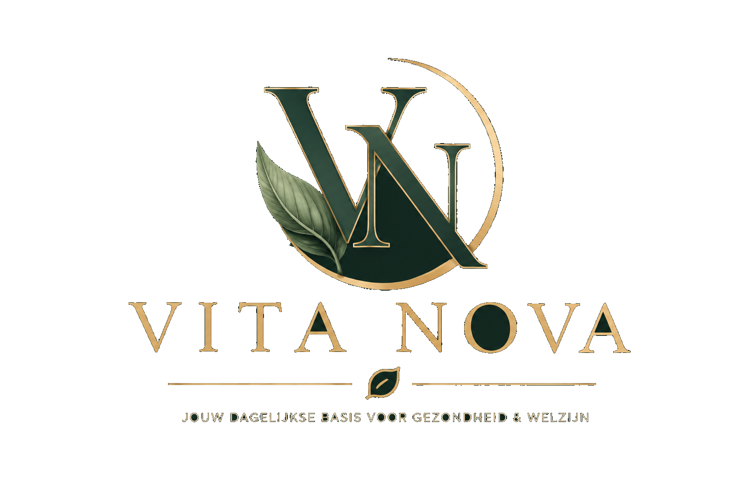 Vita Nova